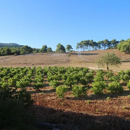 Wild Fig Retreat Maries (Zakynthos)